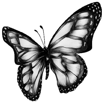 animated butterfly clipart. animated clip art